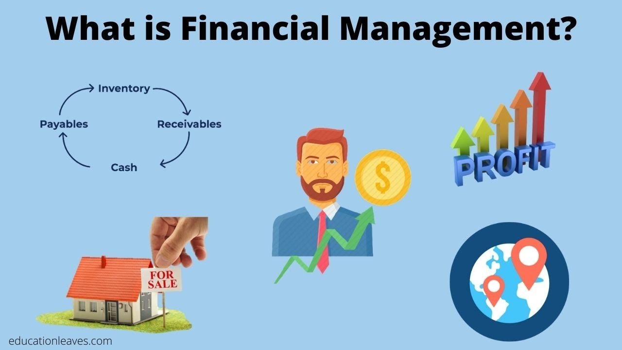 What are the 4 Types of Financial Management?